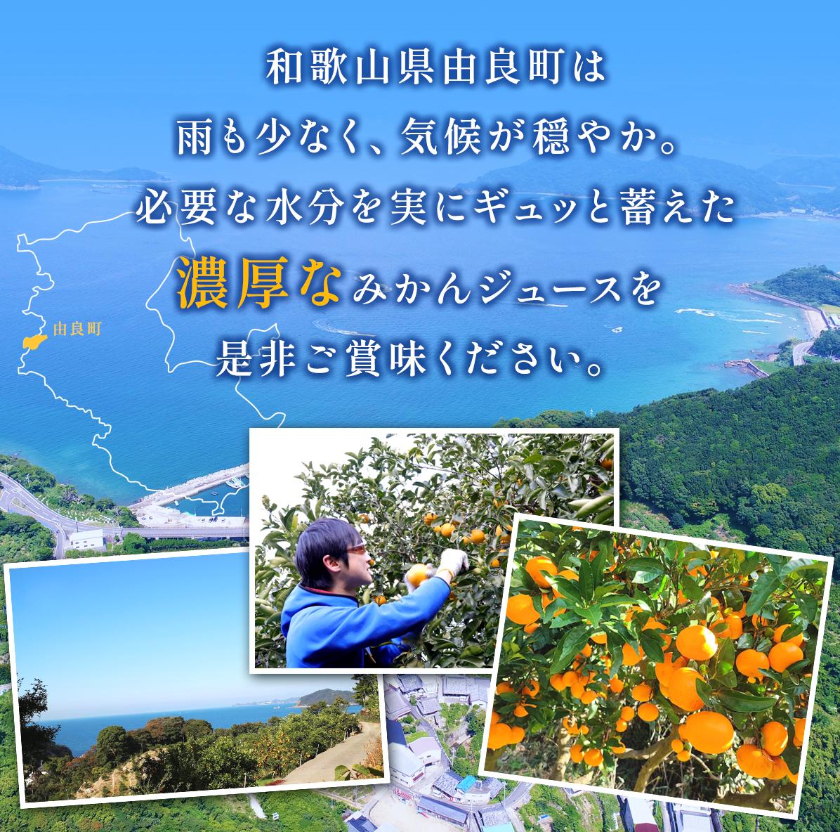 ç¡æ·»å ã¹ãã¬ãŒãææ±ïŒ ã¿ãããžã¥ãŒã¹ 1LÃ3æ¬ãfmlb020ã