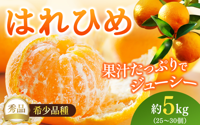はれひめ（ミカンの希少種） 秀品  約5ｋｇ（25個〜30個入）［先行予約］［2025年12月中旬頃から発送］［KG3］【kgr004A】