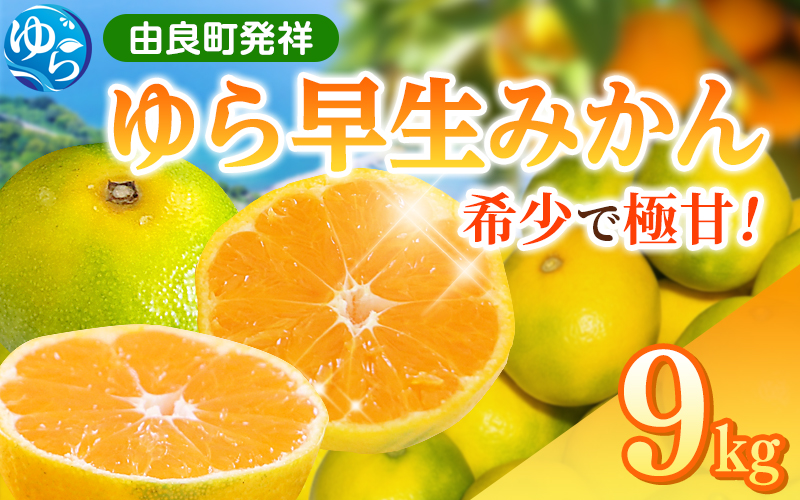 【先行予約】和歌山県産 ゆら早生みかん 9kg  ※2025年10月中旬頃より順次発送予定 / 和歌山県 柑橘 みかん 甘い 蜜柑 フルーツ 果物 くだもの 食品 人気  晩柑 おすすめ 送料無料 産地直送 由良町【kzmn006】