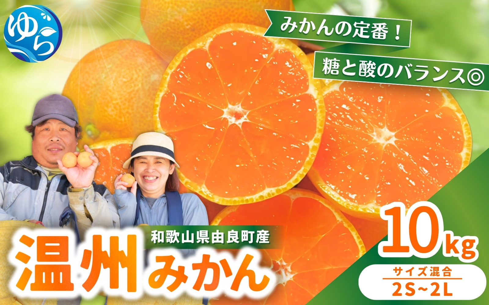 温州みかん 10kg 2S〜2Lサイズ混合 ※2025年12月上旬〜順次発送 / 温州 ミカン 農家直送　完熟 密柑 くだもの  果実  柑橘 果物 フルーツ 和歌山県 由良町 人気 おすすめ 産地直送【nktn011-sp-12】