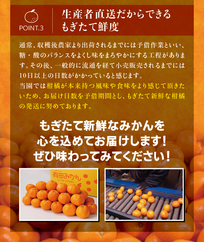 早期先行予約！ こだわりの有田みかん 約8kg＋250g(傷み補償分) 【ご家庭用】【11月発送】 光センサー選別品 農家直送品 ※北海道・沖縄・離島配送不可 / みかん 有田みかん 温州みかん 柑橘 果物 くだもの フルーツ 有田 和歌山 和歌山県産 産地直送 【nuk100-11】 