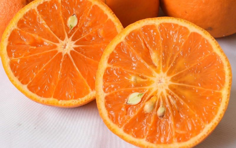 ãææ© å®æäŸ¿ãäžè°·ã¿ããå³éžïŒæ©æå®æäŸ¿å
š3åïŒã¯ãã¿ã¿ããã»æž
çŸãªã¬ã³ãžã»ã«ã©ãã³ããªã³ïŒ / ãã ãã® æå® ææ© æç© ãã«ãŒã åœç£ åæå±±ç ç±è¯çº äººæ° ãããã ææ© ããã〠ã¿ãã ãããã ãªã¬ã³ãž ãããŸãã ãã æž
èŠ ããã¿ ã¯ãã¿ ç±è¯ãnktn-tkb002ã