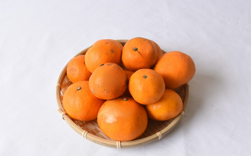 ãææ© å®æäŸ¿ãäžè°·ã¿ããå³éžïŒæ©æå®æäŸ¿å
š3åïŒã¯ãã¿ã¿ããã»æž
çŸãªã¬ã³ãžã»ã«ã©ãã³ããªã³ïŒ / ãã ãã® æå® ææ© æç© ãã«ãŒã åœç£ åæå±±ç ç±è¯çº äººæ° ãããã ææ© ããã〠ã¿ãã ãããã ãªã¬ã³ãž ãããŸãã ãã æž
èŠ ããã¿ ã¯ãã¿ ç±è¯ãnktn-tkb002ã