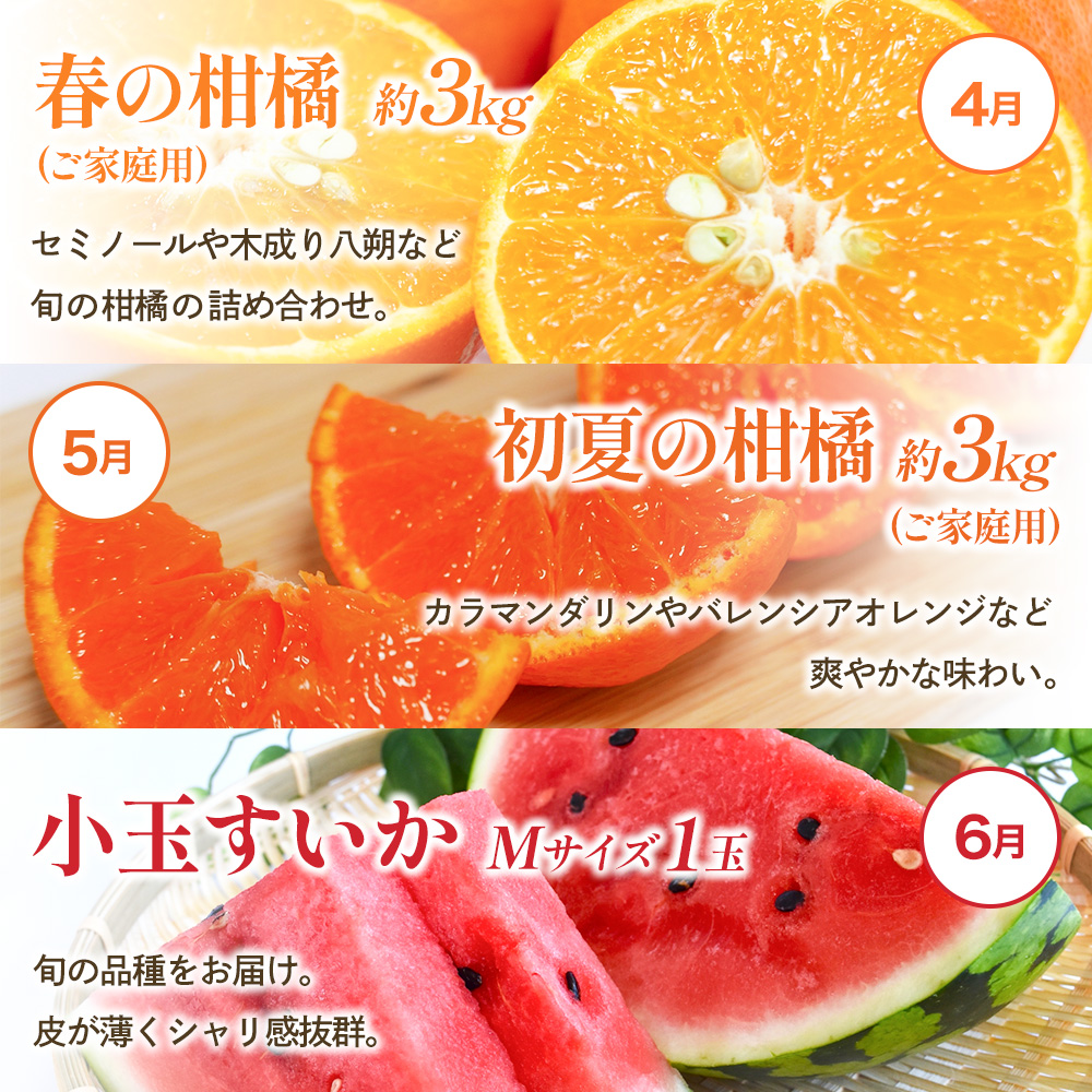 わかやま旬のくだもの定期便　全12回【Ｓ】※北海道・沖縄・離島への配送不可 （配送日時指定不可） / 定期便 フルーツ みかん いちご イチゴ 清見オレンジ セミノール 河内晩柑 カラマンダリン すいか 桃 ジュース 柿 柑橘 12回 和歌山【ard-tkb901A】 