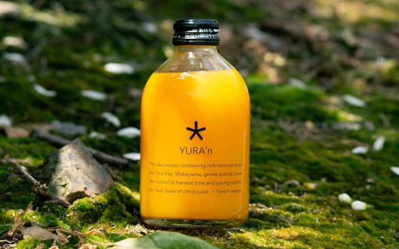 柑橘ジュース（ゆらみかんとさつき八朔）250ミリ×15本 / 和歌山県 柑橘 みかん 蜜柑 フルーツ 果物 くだもの 食品 人気 由良町 晩柑 おすすめ 送料無料 産地直送 由良町産 ドリンク【kzmn016】