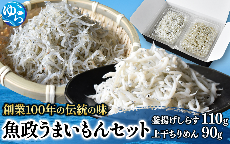 魚政うまいもんセット（釜揚げしらす110g・上干ちりめん90g） / しらす シラス 釜揚げしらす 釜揚げシラス ちりめん 上干ちりめん しらす丼 国産 海藻 魚 お魚 さかな 食品 和歌山県 由良町【uoms007】