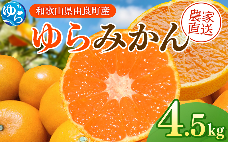 【先行予約】ゆらみかん  4.5kg ※2025年12月上旬頃から順次発送予定 / 温州みかん 和歌山県 柑橘 みかん 甘い 蜜柑 フルーツ 果物 くだもの 食品 人気   おすすめ 送料無料 産地直送 由良町【kzmn018】