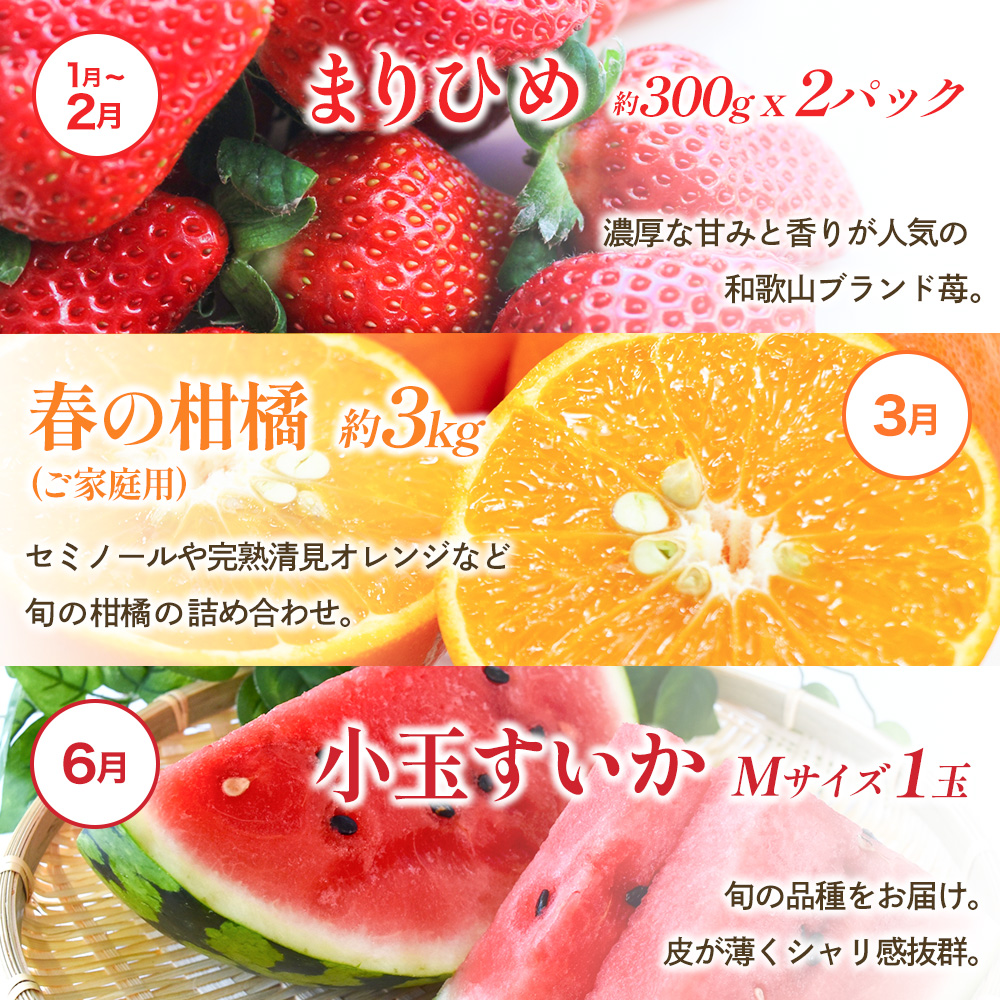 わかやま旬のくだもの定期便　全6回【Ｓ】※北海道・沖縄・離島への配送不可 （配送日時指定不可） / 定期便 フルーツ いちご イチゴ 清見オレンジ すいか 桃 柿 みかん 6回 和歌山【ard-tkb900A】 