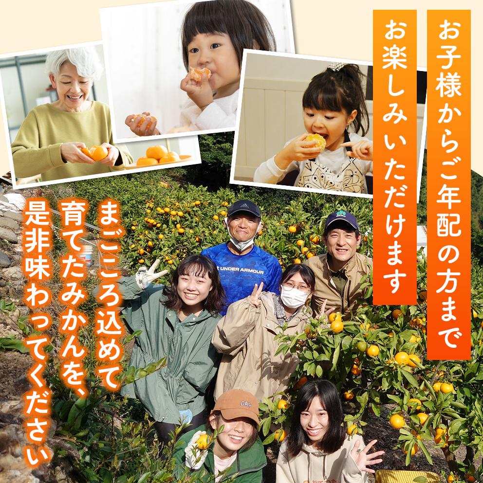 【来シーズン先行予約】セミノール 2kg   ※2026年4月上中旬〜順次発送 /  みかん 晩柑 人気 柑橘 スマイルカット  蜜柑 フルーツ 果物 くだもの 食品 人気 おすすめ 送料無料 産地直送 和歌山県 由良町【kzmn023】