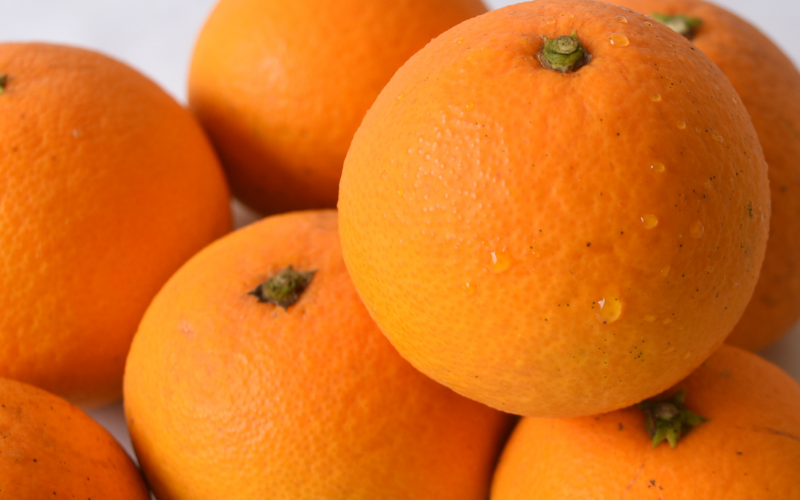 ãææ© å®æäŸ¿ãäžè°·ã¿ããå³éžïŒæ©æå®æäŸ¿å
š3åïŒã¯ãã¿ã¿ããã»æž
çŸãªã¬ã³ãžã»ã«ã©ãã³ããªã³ïŒ / ãã ãã® æå® ææ© æç© ãã«ãŒã åœç£ åæå±±ç ç±è¯çº äººæ° ãããã ææ© ããã〠ã¿ãã ãããã ãªã¬ã³ãž ãããŸãã ãã æž
èŠ ããã¿ ã¯ãã¿ ç±è¯ãnktn-tkb002ã