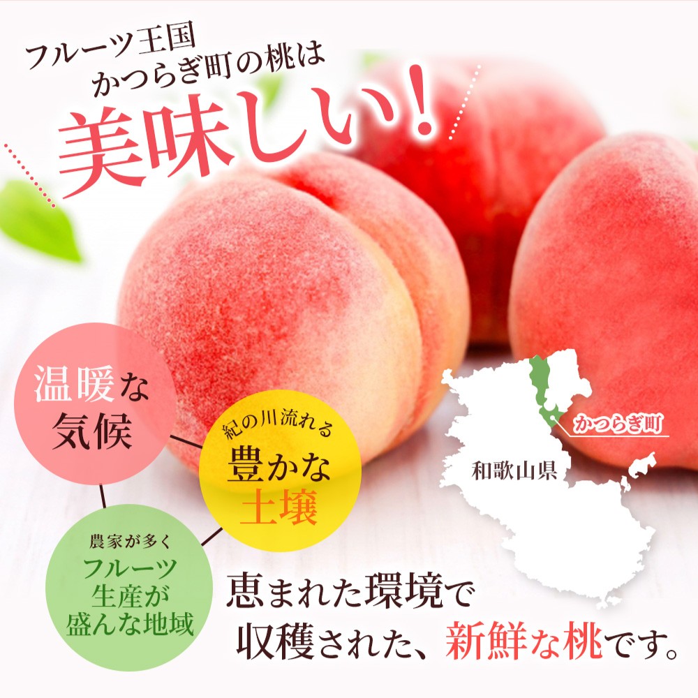 桃 【2026年先行予約】 白鳳　桃の王様！食べきりやすい３個入り 【2026年6月末頃〜2026年7月末頃に順次発送予定】（お届け日指定不可）【秀品】こだわり農家厳選 桃 モモ フルーツ 果物 くだもの 人気 産地直送 厳選 甘い 予約 もも フルーツ王国【kgr010A】