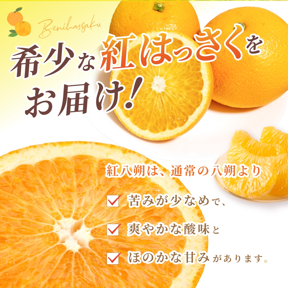 先行予約！希少な紅はっさく 12〜18個入り（L〜2Lサイズ）※2027年2月初旬頃～3月中旬頃発送予定 ※離島への配送不可 【kgr006A】