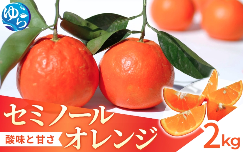 【来シーズン先行予約】セミノール 2kg   ※2026年4月上中旬〜順次発送 /  みかん 晩柑 人気 柑橘 スマイルカット  蜜柑 フルーツ 果物 くだもの 食品 人気 おすすめ 送料無料 産地直送 和歌山県 由良町【kzmn023】
