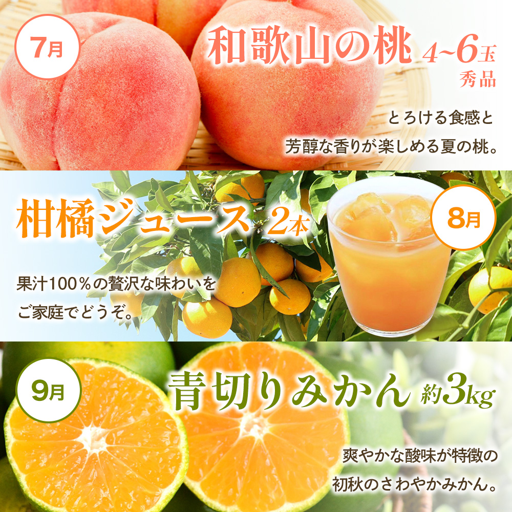 わかやま旬のくだもの定期便　全12回【Ｓ】※北海道・沖縄・離島への配送不可 （配送日時指定不可） / 定期便 フルーツ みかん いちご イチゴ 清見オレンジ セミノール 河内晩柑 カラマンダリン すいか 桃 ジュース 柿 柑橘 12回 和歌山【ard-tkb901A】 
