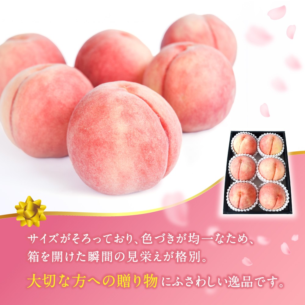 【2026年発送分先行予約】数量限定！【モモ】川中島白桃 約2kg 6個入 100個に1個の特選最上級秀品！ こだわり農家厳選！【2026年7月末から8月末順次発送】/ 和歌山県 もも 桃 高級 贅沢 特選 【kgr036】 