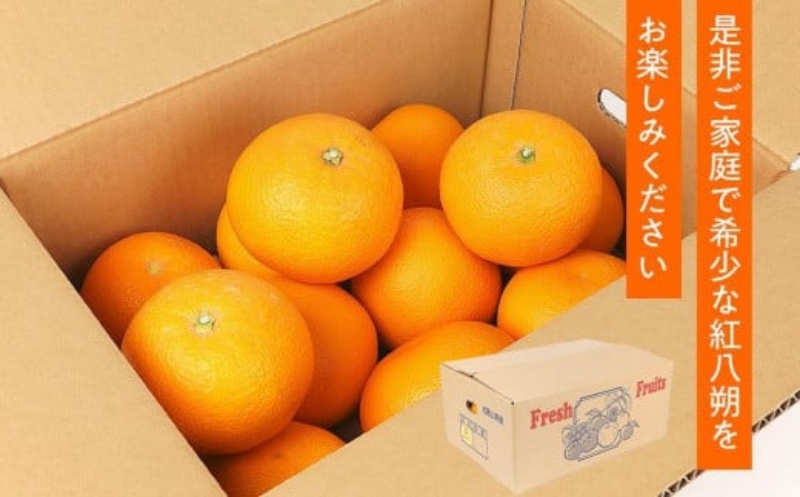 先行予約！希少な紅はっさく 12〜18個入り（L〜2Lサイズ）※2027年2月初旬頃～3月中旬頃発送予定 ※離島への配送不可 【kgr006A】