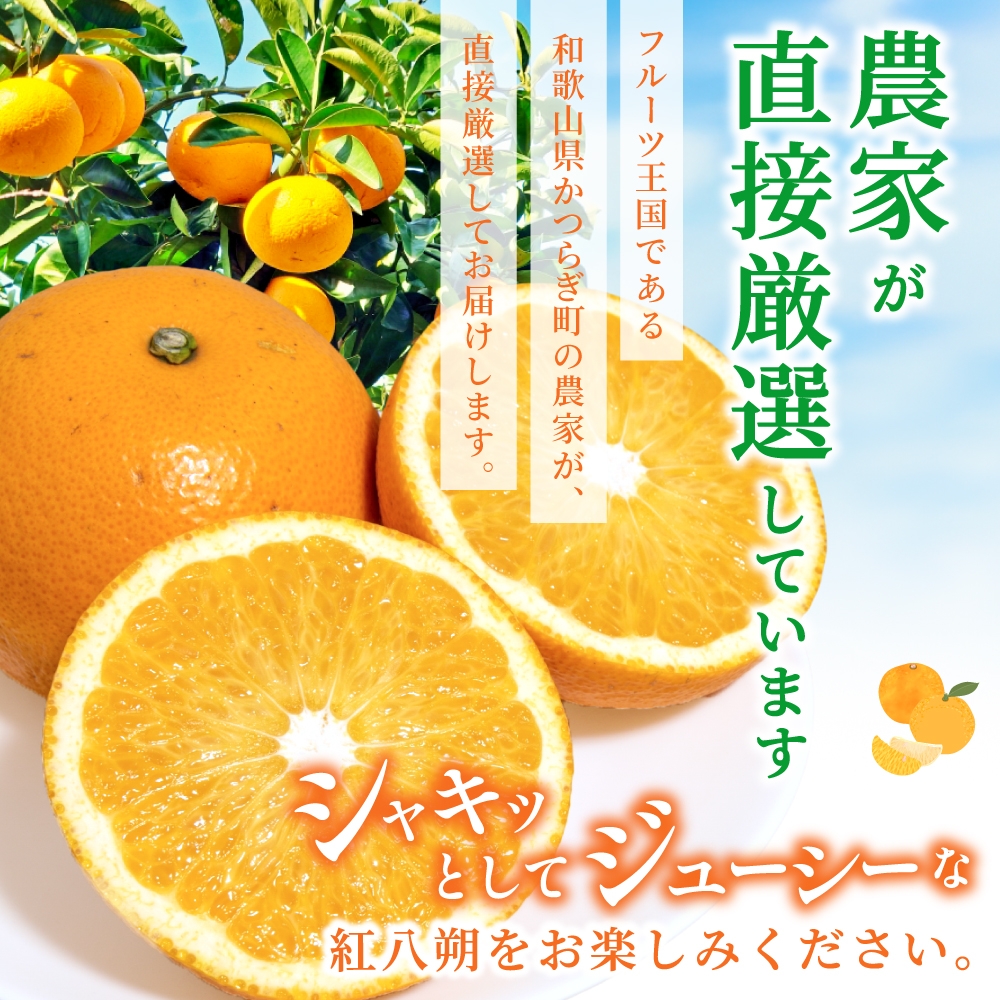 先行予約！希少な紅はっさく 12〜18個入り（L〜2Lサイズ）※2027年2月初旬頃～3月中旬頃発送予定 ※離島への配送不可 【kgr006A】
