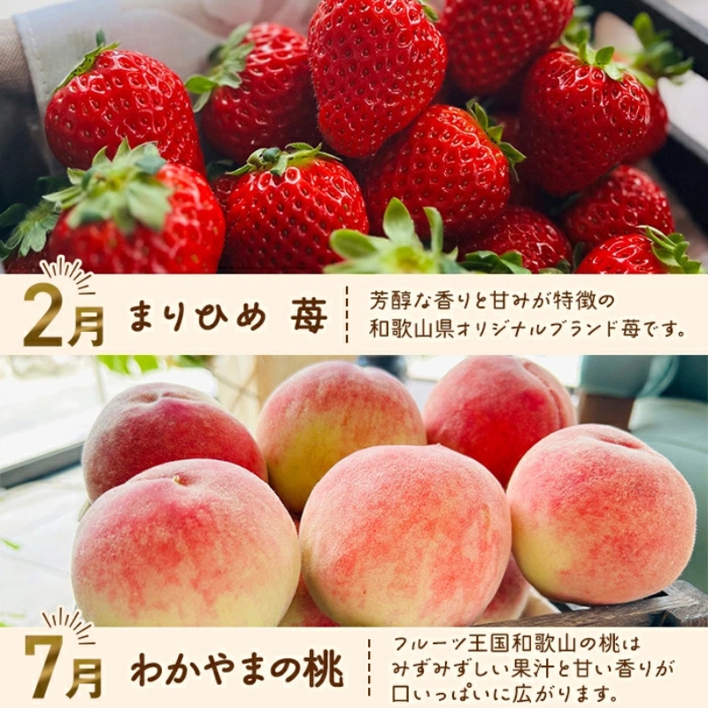 わかやま旬のフルーツ 定期便【L】全4回 ※北海道・沖縄・離島への配送不可 （配送日時指定不可） / ミカン 有田みかん まりひめ いちご 桃 フルーツ 果物 柿 和歌山【ard-tkb911】