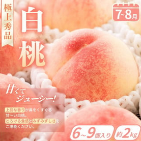 ãå®æäŸ¿4åã æ¬ã® ãã«ãŒãå®æäŸ¿ / ã¯ãã²ã ã¿ãã ãã¡ã ãŸãã²ã æ¡ ç§å æ¿ çš®ç¡ã ãã«ãŒã å®æäŸ¿ ãµããŒã€å®æäŸ¿ ãã«ãŒã è©°ãåãã æç©å®æäŸ¿ ãkgr025ã