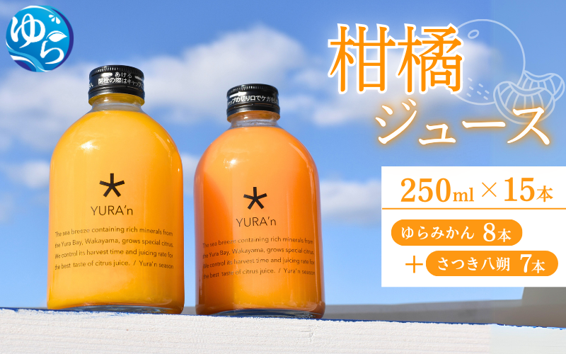 ふるさと納税 岩手県 花巻市 花巻産りんごジュース<30本セット> スピード発送りんご 花巻産りんごジュース30本セット 林檎 りんご