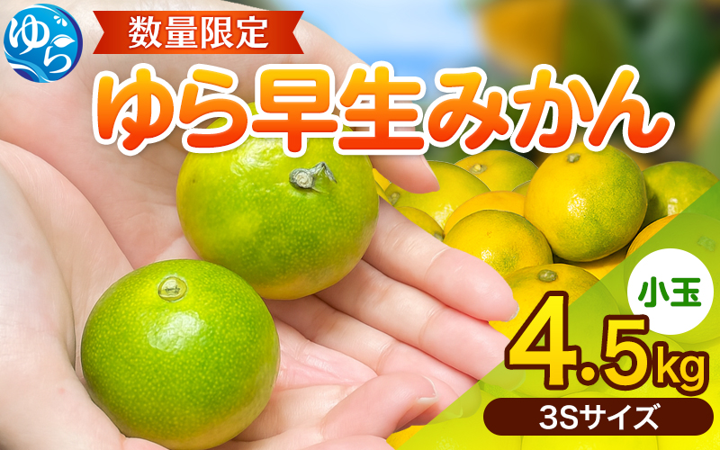 【先行予約】ゆら早生 みかん  ≪小玉≫ 4.5kg (3Sサイズ) ※2025年10月中旬頃より順次発送予定 / みかん 小玉サイズ 甘い 蜜柑 フルーツ 果物 くだもの 食品 人気 晩柑 おすすめ 送料無料 産地直送 和歌山 由良町【kzmn020】