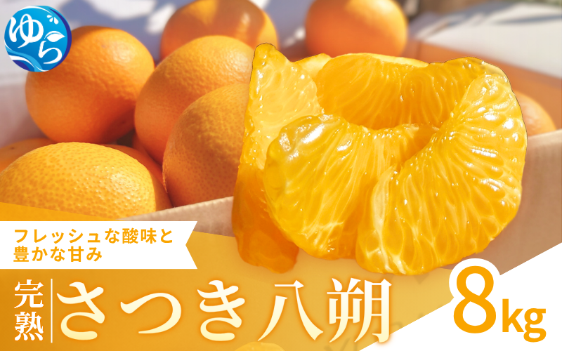 【来シーズン先行予約】完熟さつき八朔 8kg【2026年3月下旬頃から発送予定】 / はっさく ハッサク 柑橘 由良町 果物 フルーツ くだもの 産地直送 和歌山【kzmn001】