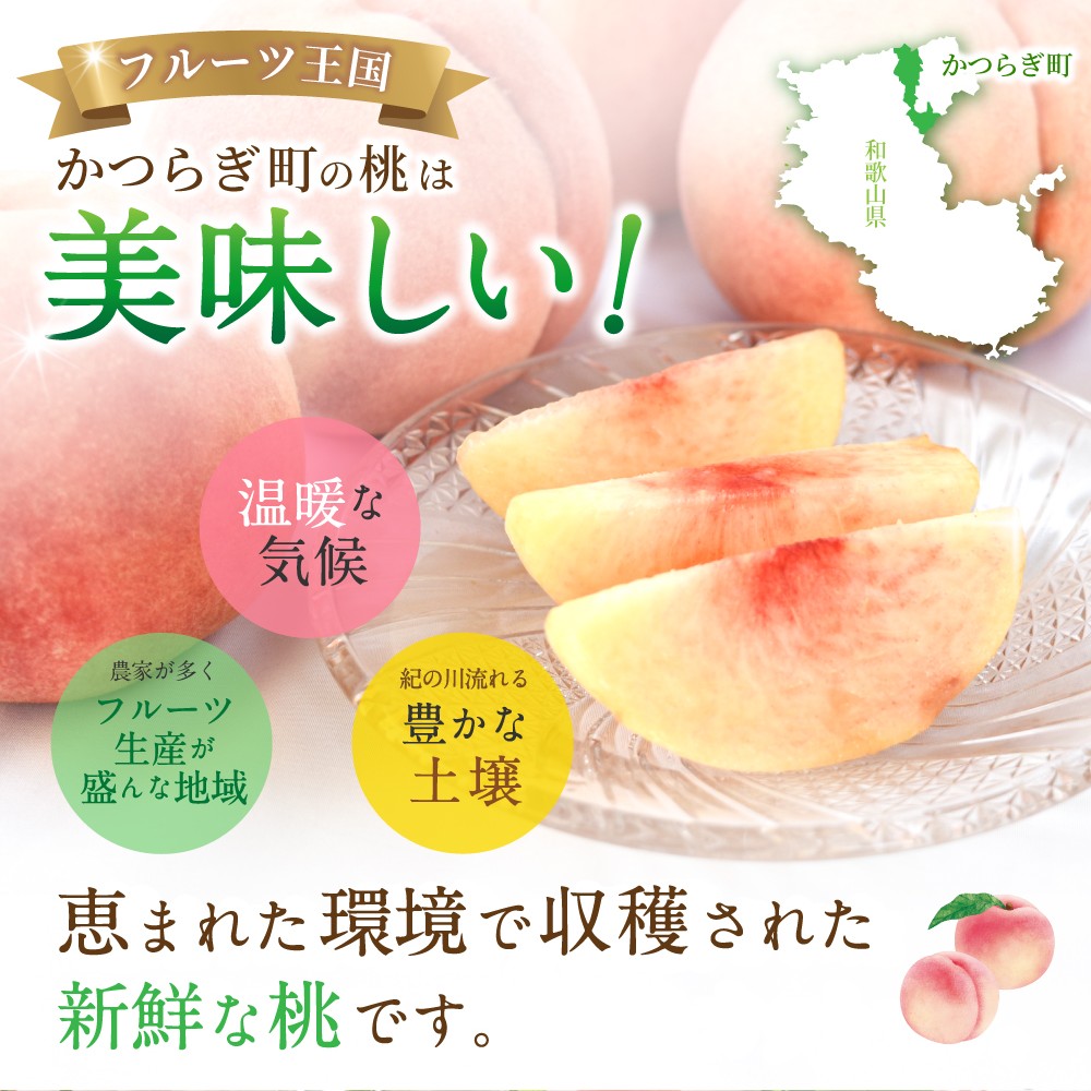 【2026年発送分先行予約】数量限定！【モモ】川中島白桃 約2kg 6個入 100個に1個の特選最上級秀品！ こだわり農家厳選！【2026年7月末から8月末順次発送】/ 和歌山県 もも 桃 高級 贅沢 特選 【kgr036】 