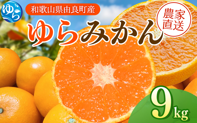 【先行予約】ゆらみかん 9kg ※2025年12月上旬頃から順次発送予定 / 温州みかん 和歌山県 柑橘 みかん 甘い 蜜柑 フルーツ 果物 くだもの 食品 人気   おすすめ 送料無料 産地直送 由良町【kzmn017】
