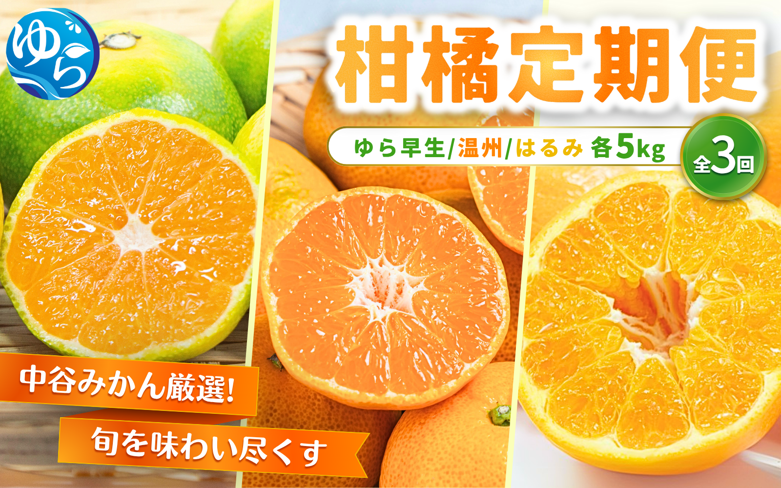 【柑橘 定期便】中谷みかん厳選！柑橘定期便全3回（ゆら早生みかん・温州みかん・はるみみかん） / くだもの  果実  柑橘 果物 フルーツ 国産 和歌山県 由良町 人気 おすすめ 柑橘 かんきつ みかん おれんじ オレンジ 早生 ゆら早生 温州 はるみ 由良【nktn-tkb001】