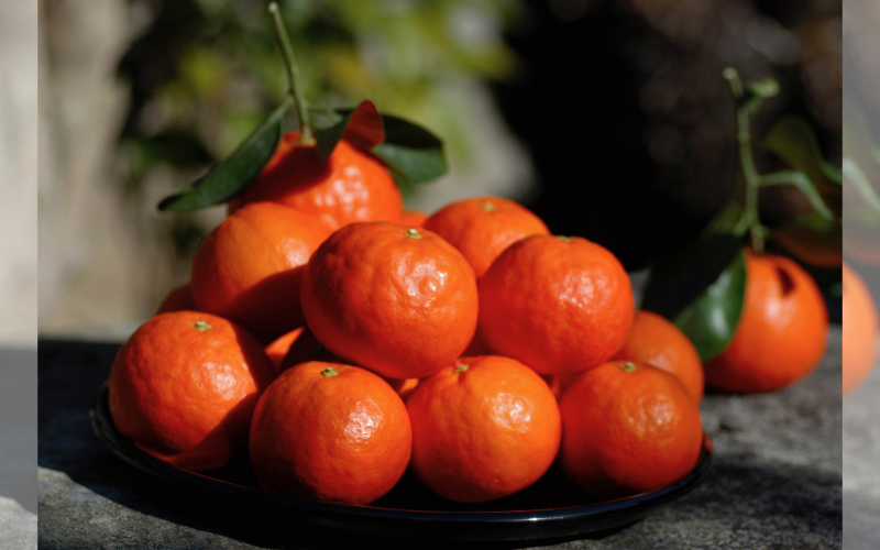 ãæ¥ã·ãŒãºã³å
è¡äºçŽãã»ãããŒã« 4kg â»2026幎4æäžäžæ¬ãé æ¬¡çºé / ã¿ãã æ©æ äººæ° ææ© ã¹ãã€ã«ã«ãã èæ ãã«ãŒã æç© ãã ãã® é£å äººæ° ãããã éæç¡æ ç£å°çŽé åæå±±ç ç±è¯çºãkzmn024ã