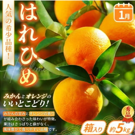 ãå®æäŸ¿4åã æ¬ã® ãã«ãŒãå®æäŸ¿ / ã¯ãã²ã ã¿ãã ãã¡ã ãŸãã²ã æ¡ ç§å æ¿ çš®ç¡ã ãã«ãŒã å®æäŸ¿ ãµããŒã€å®æäŸ¿ ãã«ãŒã è©°ãåãã æç©å®æäŸ¿ ãkgr025ã