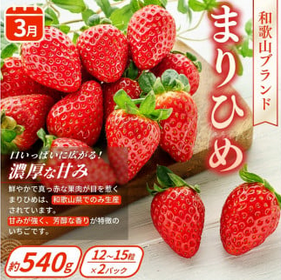 ãå®æäŸ¿4åã æ¬ã® ãã«ãŒãå®æäŸ¿ / ã¯ãã²ã ã¿ãã ãã¡ã ãŸãã²ã æ¡ ç§å æ¿ çš®ç¡ã ãã«ãŒã å®æäŸ¿ ãµããŒã€å®æäŸ¿ ãã«ãŒã è©°ãåãã æç©å®æäŸ¿ ãkgr025ã