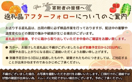 ［手選果・訳あり］ 有田 産 の 八朔 10kg （サイズ混合）※2027年1月下旬～2月下旬頃発送予定 【tec847A】