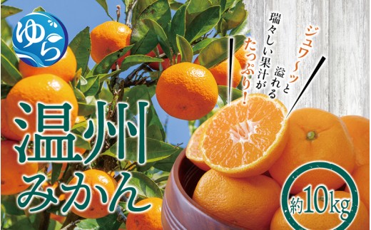温州みかん 10kg ※2026年12月上旬～12月下旬頃に順次発送予定(お届け日指定不可) / 温州 密柑 JA 糖度 甘い 光センサー ゆらみかん 由良町 ミカン  柑橘 期間限定 和歌山県産【jahd004-r-10A】
