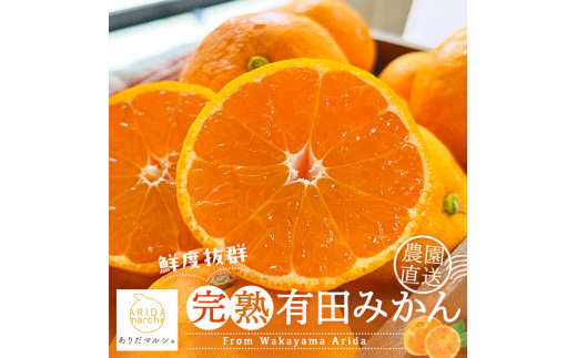 【11月発送】＼先行予約／完熟有田みかん 秀優 3kg+200g ※北海道・沖縄・その他離島地域は発送不可 / 有田みかん ミカン 柑橘 甘い くだもの フルーツ 果物 産地直送 和歌山【ard004-noen-3-11B】