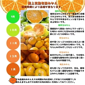 【12月発送】＼先行予約／ 有田育ちの完熟 有田 みかん 家庭用 2.2kg(2kg+200g)  / 有田みかん 柑橘 甘い フルーツ 果物 産地直送 和歌山 ※北海道・沖縄・その他離島地域は発送不可【ard004-c-2d2-12】