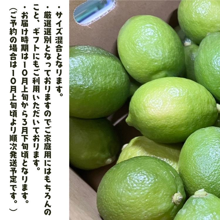 【先行予約】紀州 和歌山　有田 レモン 2kg+200g(傷み補償分) / 檸檬 柑橘 オレンジ フルーツ 果物 くだもの ※2026年9月下旬～2027年2月上旬に順次発送予定 ※北海道・沖縄・その他離島地域は発送不可【ard040-r-2A】