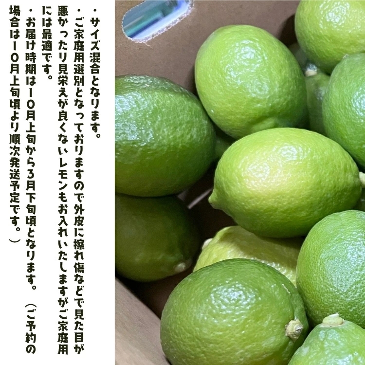 【先行予約】紀州 和歌山　有田 レモン 5kg+200g(傷み補償分) / 檸檬 柑橘 オレンジ フルーツ 果物 くだもの ※2026年9月下旬～2027年2月上旬に順次発送予定 ※北海道・沖縄・その他離島地域は発送不可【ard040-c-5A】