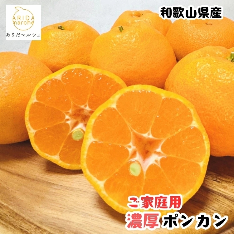 【先行予約】極甘 柑橘 有田育ちの 濃厚 ポンカン（訳あり 家庭用）7.5kg+200g(傷み補償分) / みかん 柑橘 果物 フルーツ 甘い 和歌山 晩柑 有田 ※2027年1月上旬～2月下旬に順次発送 ※北海道・沖縄・その他離島地域は発送不可【ard008-c-7d5】