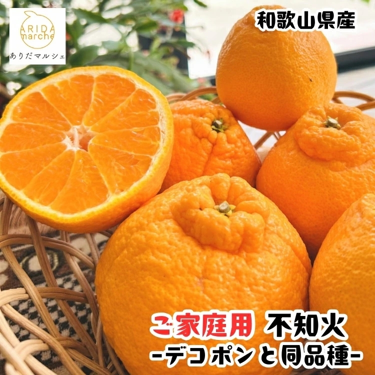 【先行予約】有田育ちの濃厚 不知火 ( デコポン と同品種)( 訳あり 家庭用 ) 1kg+200g(傷み補償分) / しらぬい みかん 甘い 和歌山 有田 柑橘 果物 フルーツ ※2027年1月下旬～3月下旬に順次発送 ※北海道・沖縄・その他離島地域は発送不可【ard010-c-1A】