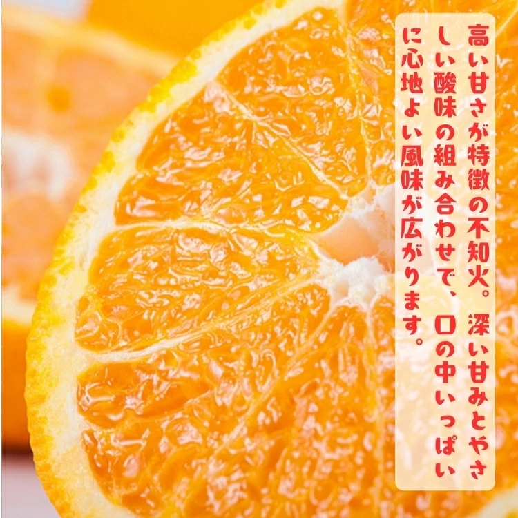 【先行予約】有田育ちの濃厚 不知火 ( デコポン と同品種)( 訳あり 家庭用 ) 1kg+200g(傷み補償分) / しらぬい みかん 甘い 和歌山 有田 柑橘 果物 フルーツ ※2027年1月下旬～3月下旬に順次発送 ※北海道・沖縄・その他離島地域は発送不可【ard010-c-1A】