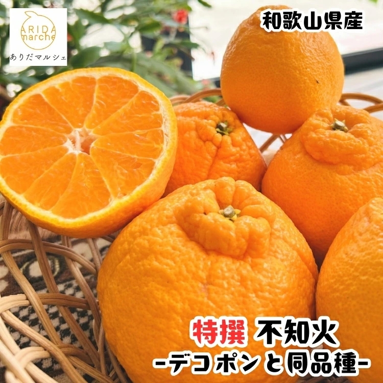 【先行予約】有田育ちの濃厚 不知火 ( デコポン と同品種) 特選 1kg+200g(傷み補償分) / しらぬい みかん 甘い 和歌山 有田 柑橘 果物 フルーツ ※2027年1月下旬～3月下旬に順次発送 ※北海道・沖縄・その他離島地域は発送不可【ard010-p-1】