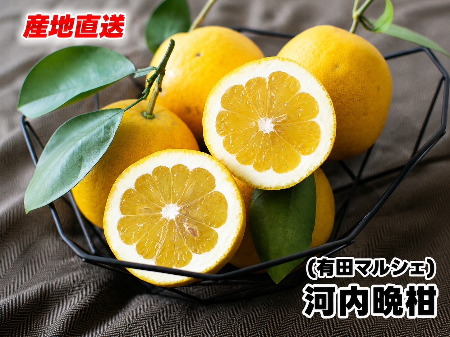  爽快 柑橘 有田 育ちの爽やか 河内晩柑 （ ご家庭用 わけあり ） 1.5kg / 晩柑 宇和ゴールド ジューシーオレンジ 愛南ゴールド ナダオレンジ 天草晩柑 夏文旦 和歌山 ※北海道・沖縄・その他離島地域は発送不可 ※2026年4月中旬～6月中旬に順次発送【ard026-c-1d5】