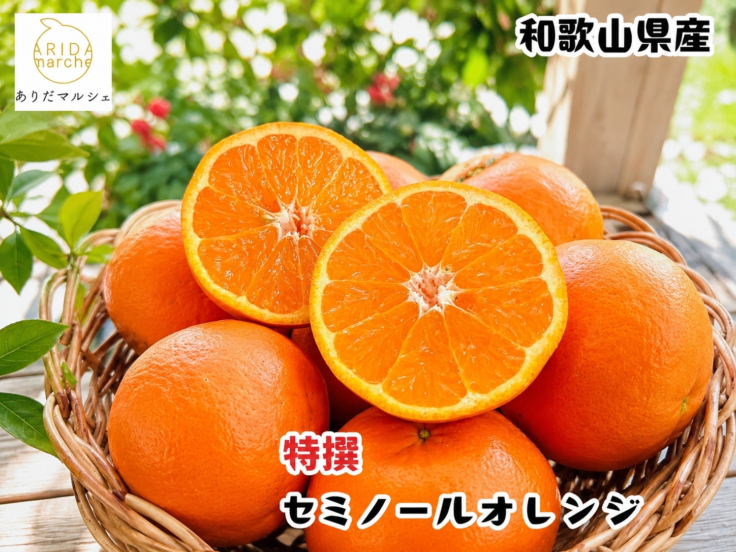  厳選 有田 育ちの爽快 セミノールオレンジ / みかん 高級 くだもの 晩柑 柑橘 和歌山 ※2026年4月上旬～5月下旬順次発送 ※北海道・沖縄・その他離島地域は発送不可【ard016-p-2C】