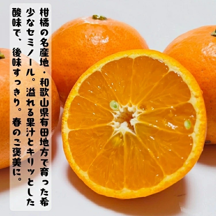 有田 育ちの爽快 セミノールオレンジ 家庭用 5kg+200g(補償分) / みかん 高級 くだもの 晩柑 柑橘 和歌山 ※2026年4月上旬～5月下旬順次発送 ※北海道・沖縄・その他離島地域は発送不可【ard016-c-5C】