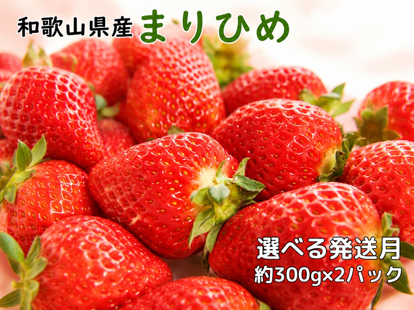和歌山県産ブランド いちご「まりひめ」約300g×2パック入り ※2027年3月順次発送予定（お届け日指定不可） ※北海道・沖縄・離島配送不可【tec500-r-300x2-mar】