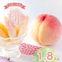 【先行予約受付】和歌山県産の美味しい 桃 約1.8kg(5～8玉) /もも 果物 フルーツ 和歌山県 ※6月中旬頃～8月上旬頃順次発送予定 ※離島への配送不可【mat501-r-1d8】