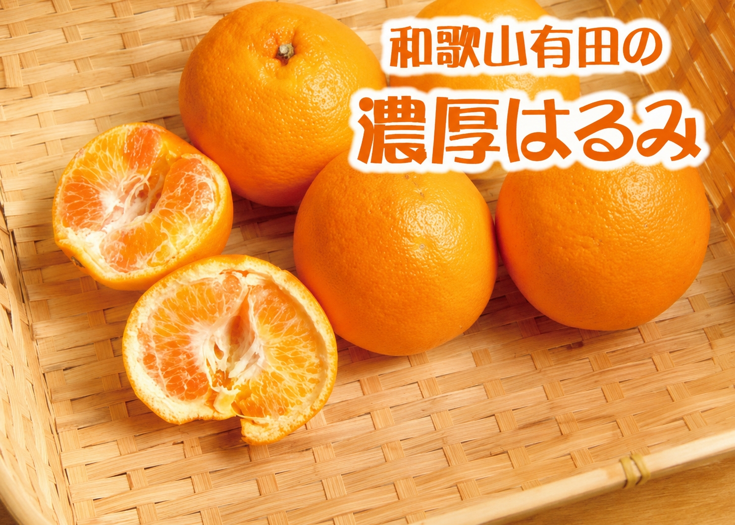 濃厚 はるみ みかん 10kg (Ｓ又はＭサイズ) / みかん ミカン オレンジ 柑橘 フルーツ 果物 旬※2027年1月下旬～2月中旬頃に順次発送予定 【ard013-noko-r-10B】