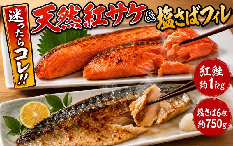迷ったらコレ！！魚鶴商店の天然紅サケ1kg & 塩さばフィレ6枚セット【uot744B-1】