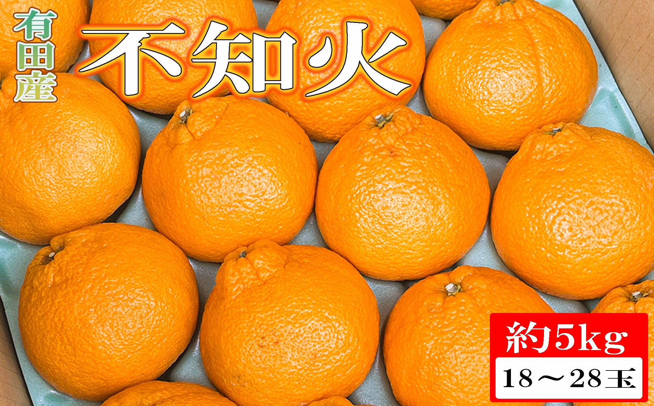 【濃厚】有田の不知火約5kg（18～28玉）※2027年2月下旬～3月下旬頃に順次発送【tec010-r-18】